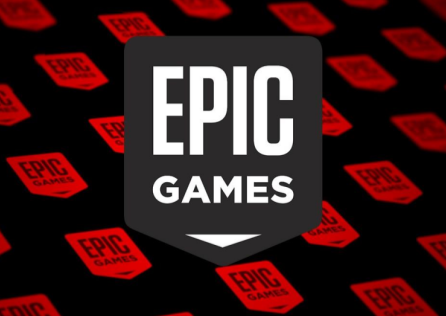 EPIC提示在处理您的申请时发生了错误
