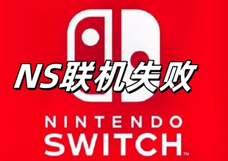 NS联机失败