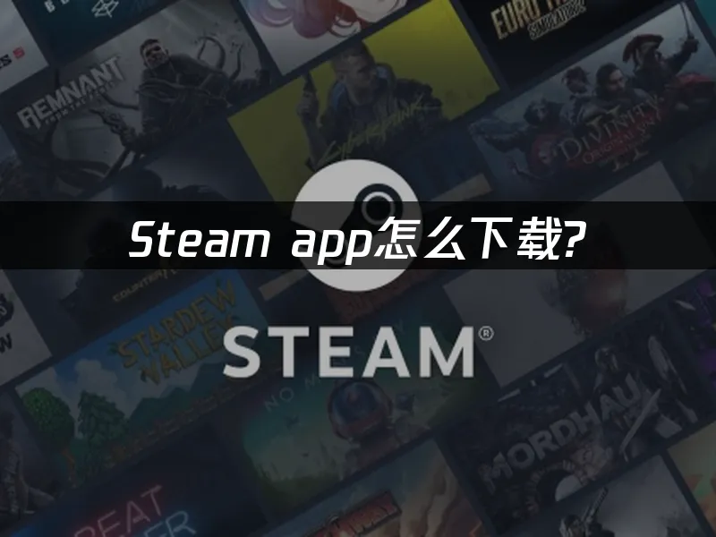 Steam app 封面图